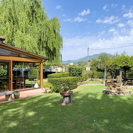 Agriturismo Terra Di Elea Ascea Exterior foto