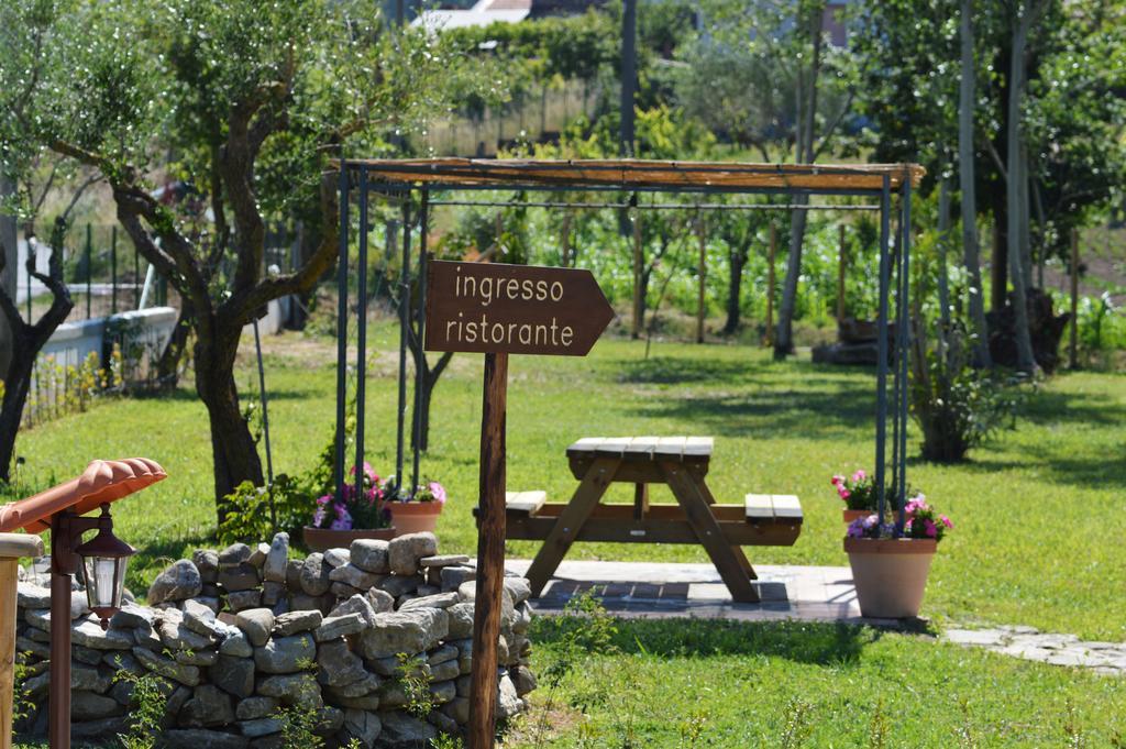 Agriturismo Terra Di Elea Ascea Exterior foto